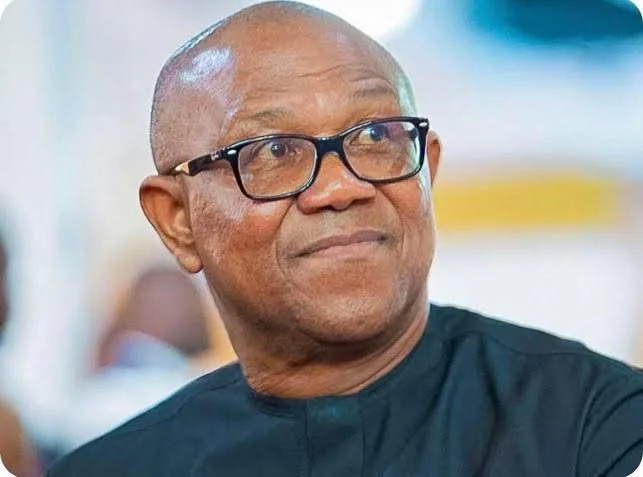 I never asked Nigerians abroad to abandon families — Obi